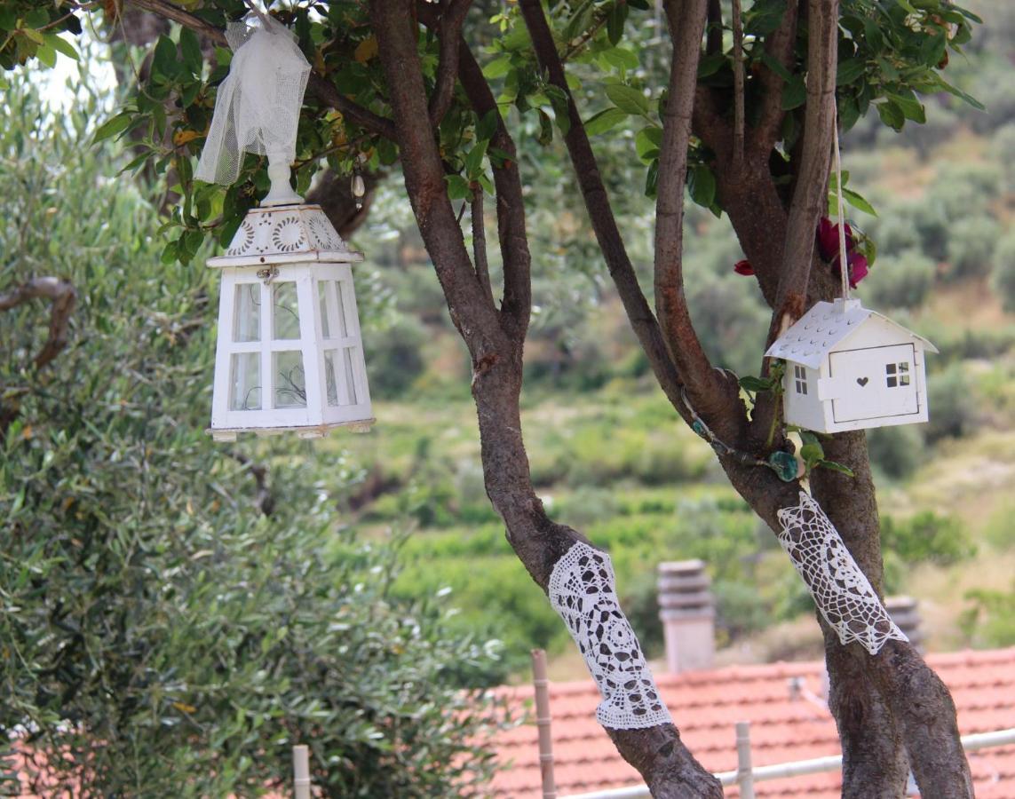 Il Sole Di Poggi Bed & Breakfast Imperia Exterior photo