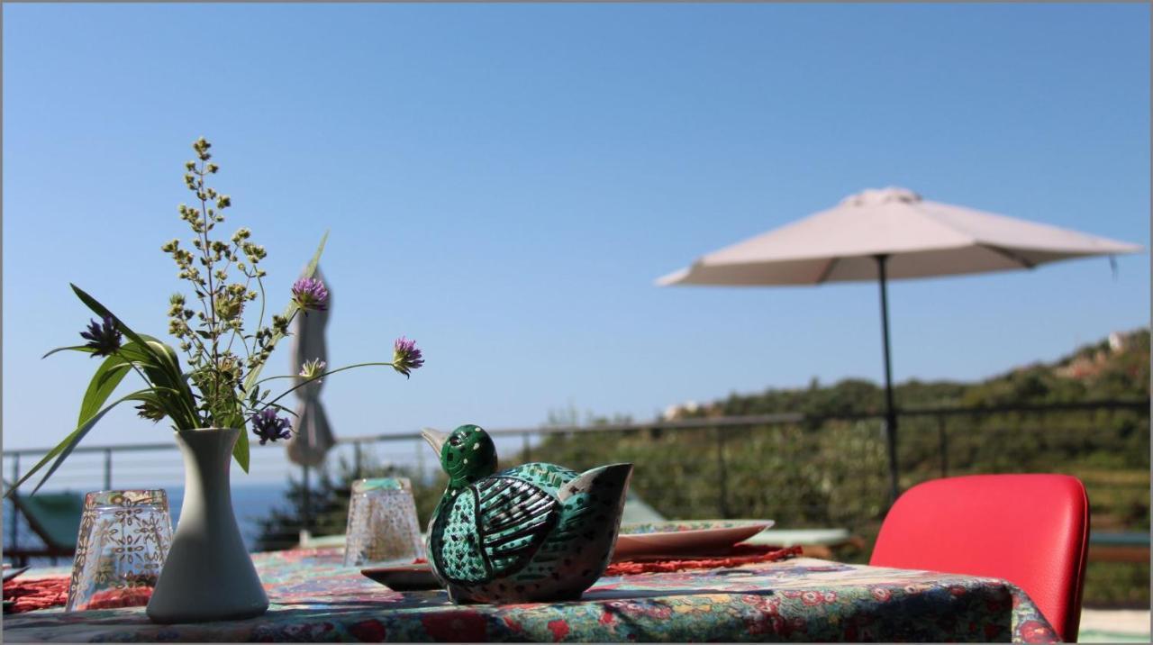 Il Sole Di Poggi Bed & Breakfast Imperia Exterior photo